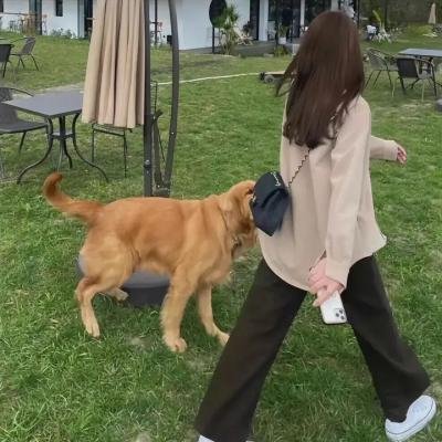 曲棍球之王